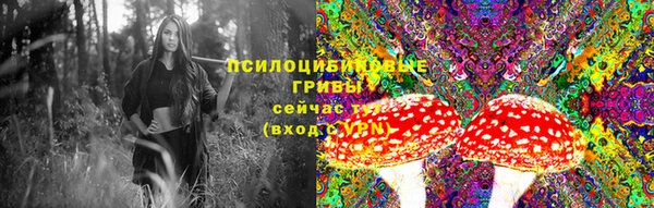 соль ск Белокуриха