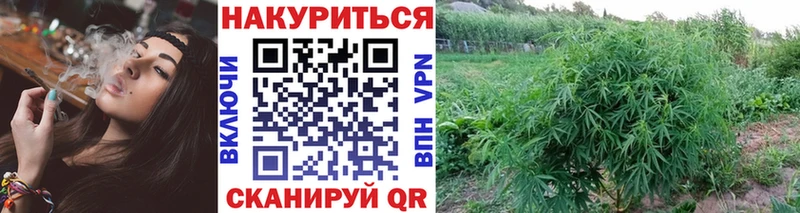Каннабис SATIVA & INDICA  Малая Вишера 